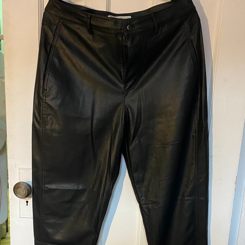 Zara Faux Leather Pants (L)